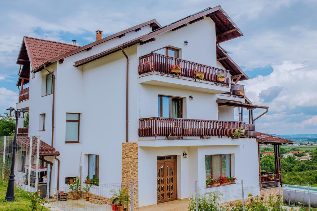 Pensiunea Andrei Maracineni Exterior foto