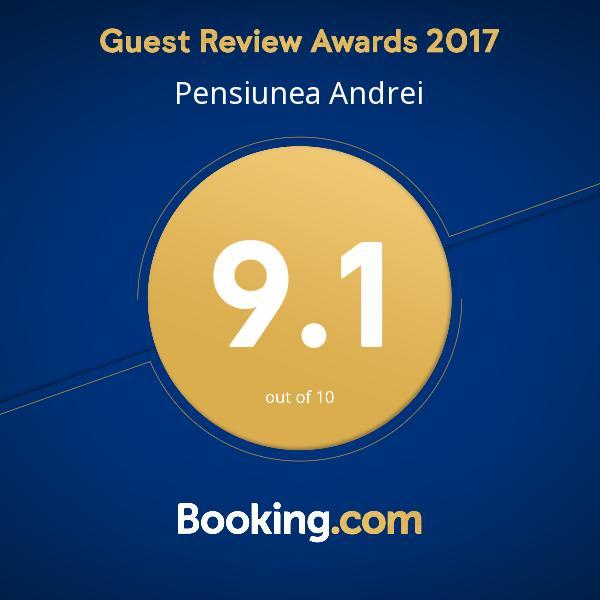 Pensiunea Andrei Maracineni Exterior foto